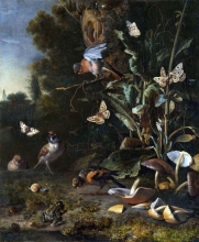 212/hondecoeter, melchior d' - birds, butterflies and a frog among plants and fungi